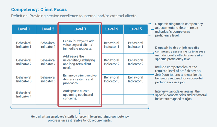 free-infographic-how-competencies-are-linked-to-all-stages-of